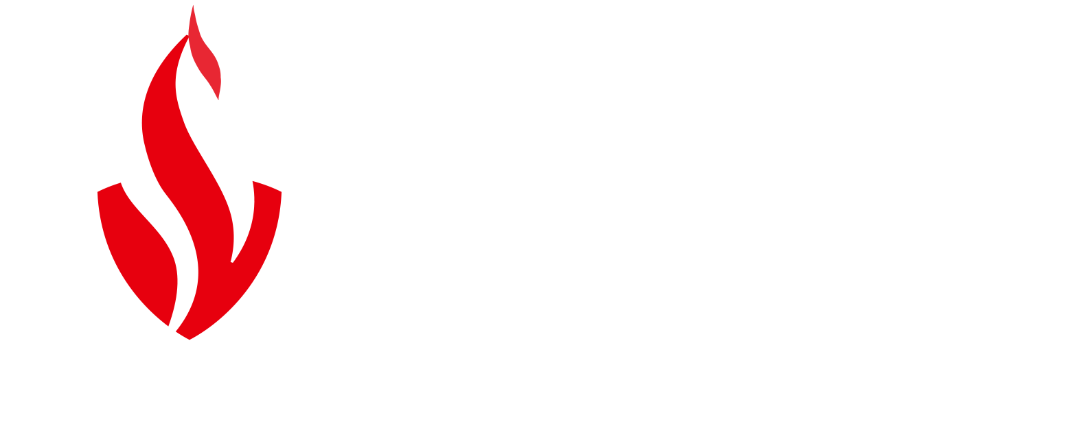 Entwurf FWR